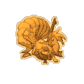 Gold Latitails